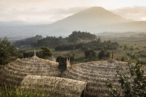 gorilla trekking in Rwanda and Uganda from Israel