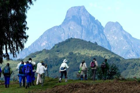 Gorilla Trekking in Rwanda: Mistakes to Avoid on Your First Safari