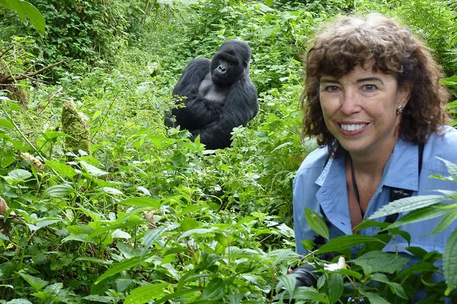 Booking a gorilla permit in Rwanda, gorilla trekking in rwanda and uganda from the netherlands, discounted gorilla trekking safaris