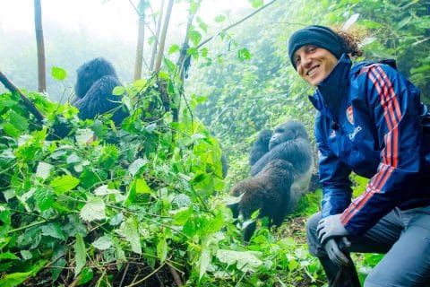 Best Time of Day for Gorilla Trekking in Uganda