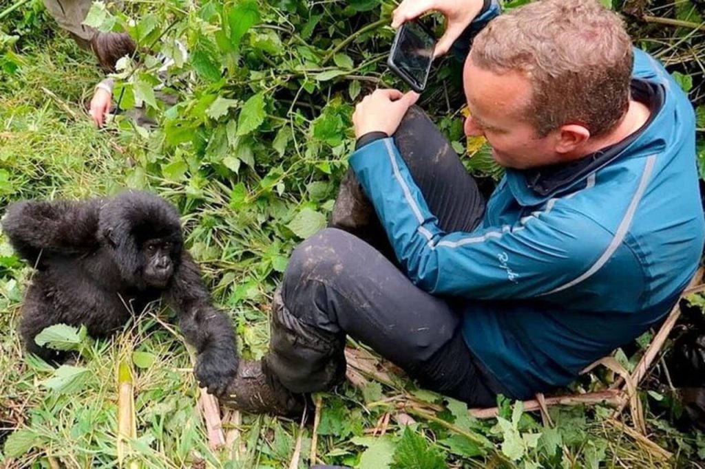 Trekking the Gorillas in Rwanda and Uganda in 2025