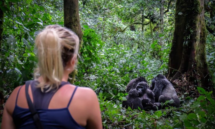 gorilla trekking adventure in rwanda