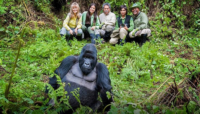 Gorilla Trekking from Kigali: Unforgettable Wildlife Adventures