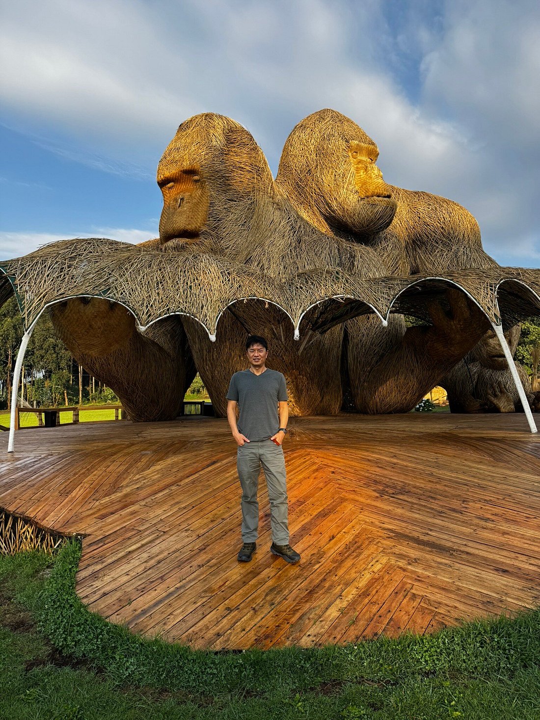 Photography Tips for Gorilla Trekking in Rwanda and Uganda – What Camera to Bring