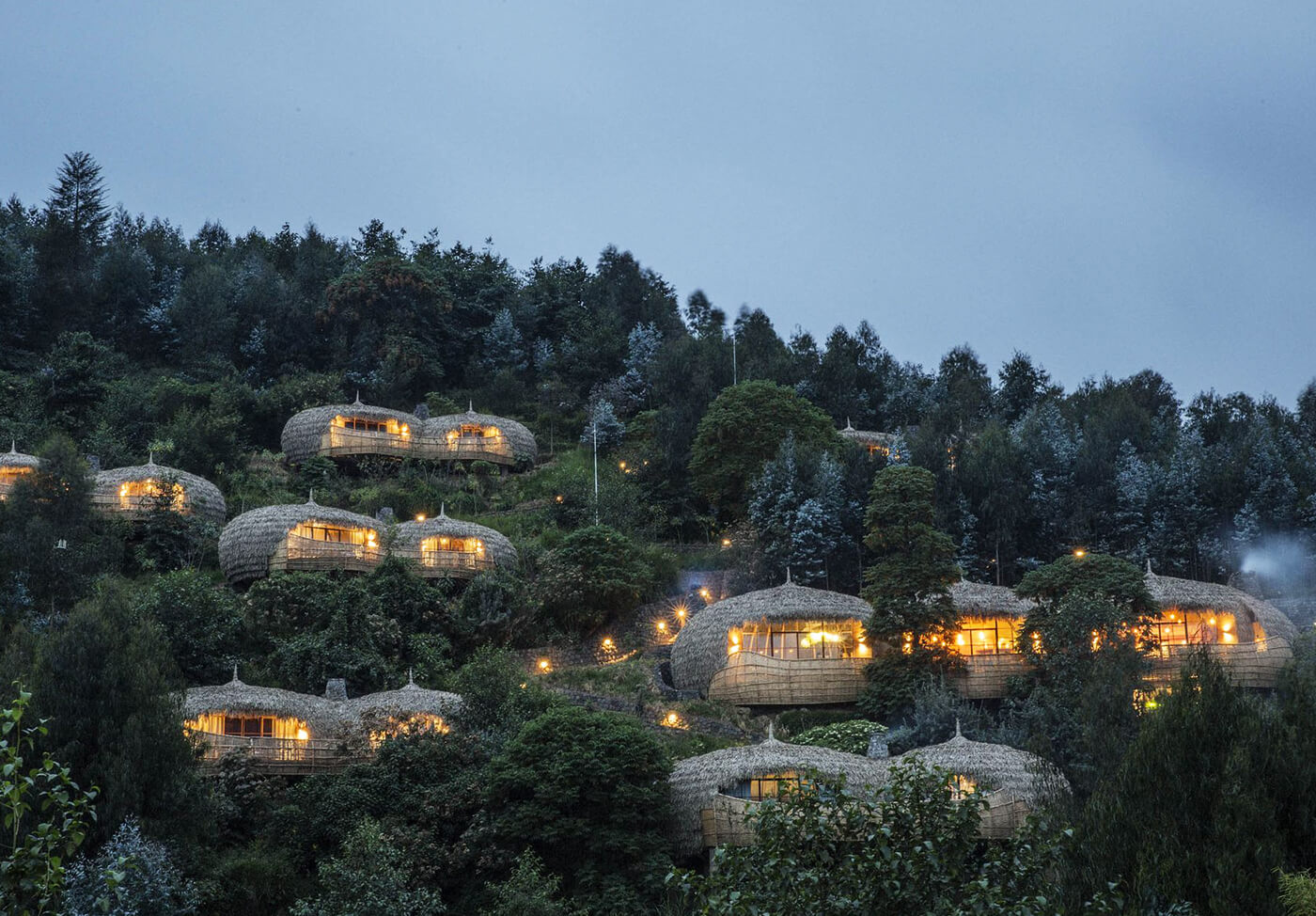 Top Luxury Safari Lodges in Rwanda (Volcanoes, Akagera, Nyungwe)