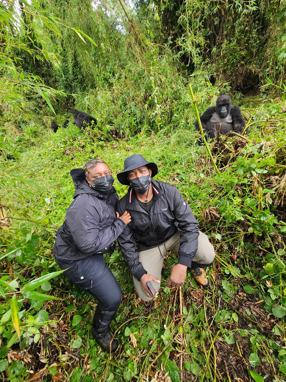 Rwanda Safari for Honeymoon Couples – Romantic Getaways