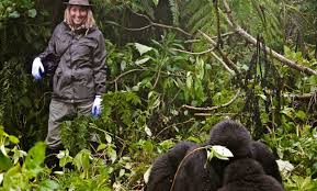 Uganda Gorilla Trekking Packing List for Forest Conditions