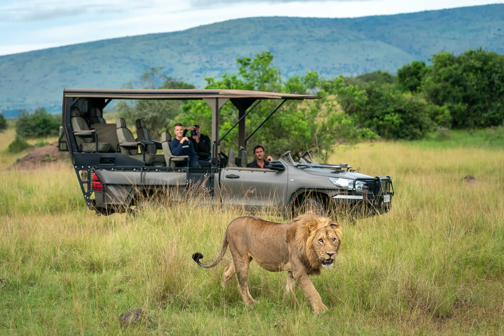 Conservation Success: How Rwanda Reintroduced Lions & Rhinos