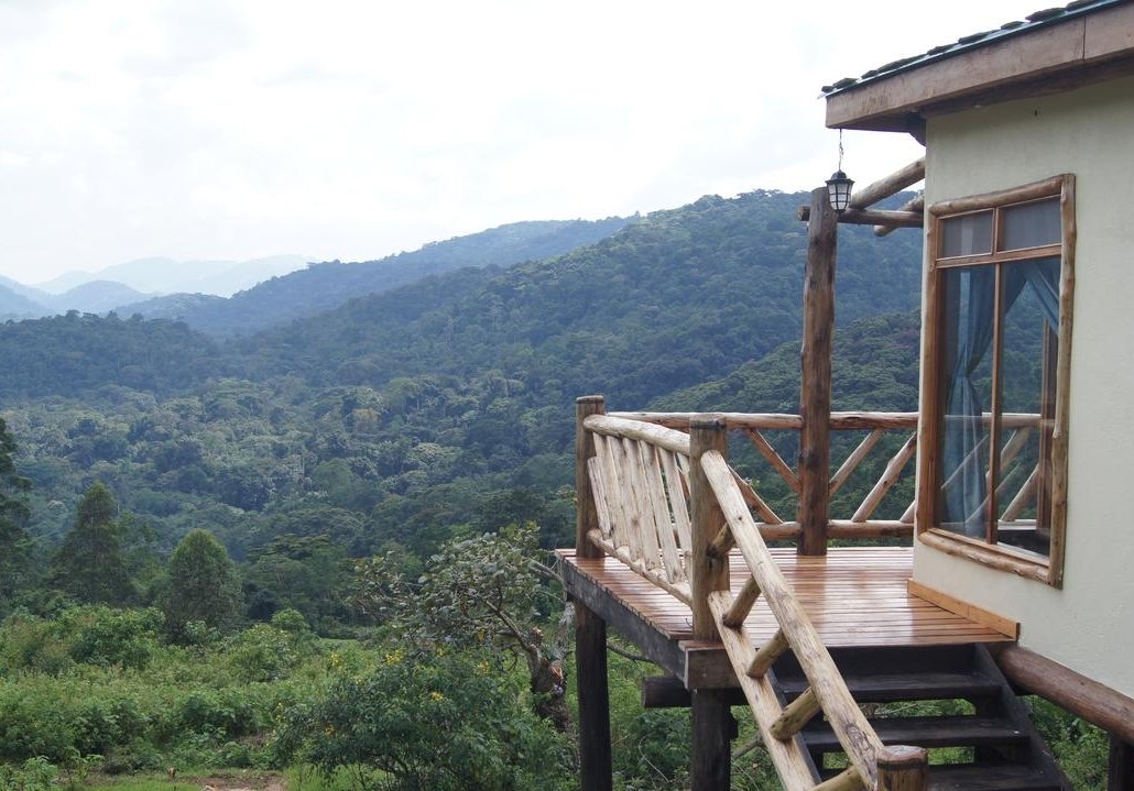 Top Luxury Lodges for Gorilla Safaris in Rwanda and Uganda 