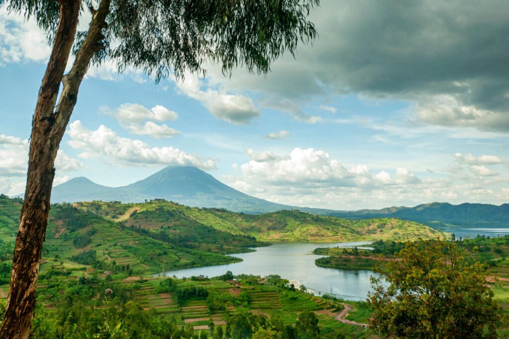 Planning a Gorilla Safari in Rwanda and Uganda Step-by-Step