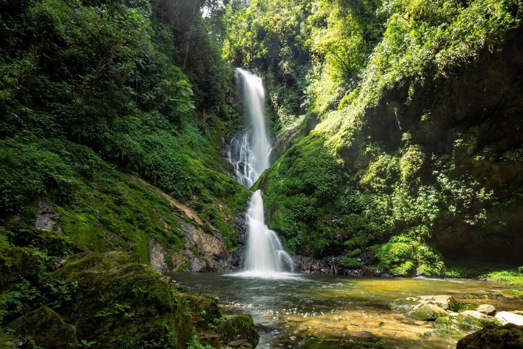 Cost of Nyungwe Safaris – Permits, Lodges & Travel Budget