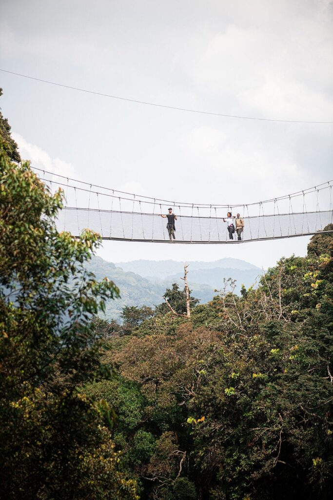 Nyungwe Safari for Families – Is It Suitable for Kids?