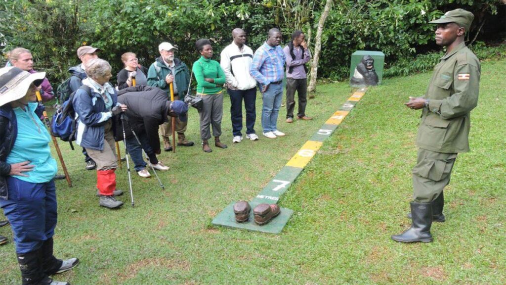 Rwanda Gorilla Trekking Permits: Cost, Booking & 2025 Updates