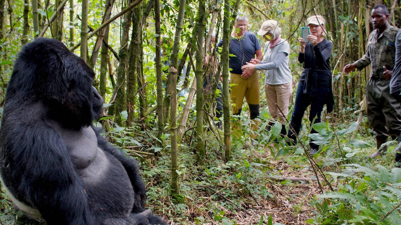 Rwanda and Uganda Gorilla Safari Trip Planning Checklist