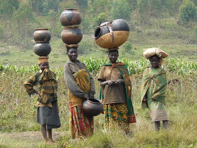 5-Day Rwanda to Uganda Gorilla Safari Plan 