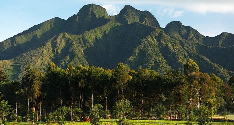 Private Transfer from Kigali to Volcanoes National Park