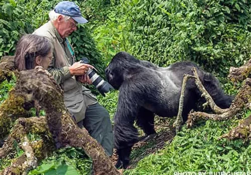 Transfer from Kigali to Bwindi Impenetrable Forest National Park