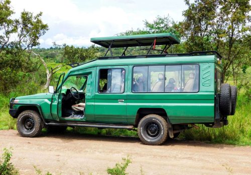 Transfer with 4×4 Safari vehicles to Volcanoes National Park