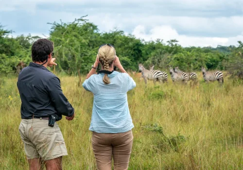 Rwanda Safari for Honeymoon Couples – Romantic Getaways