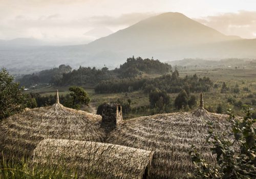 Gorilla Trekking in Rwanda and Uganda from Israel
