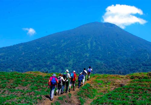 Rwanda and Uganda Safari Cost vs Experience Value