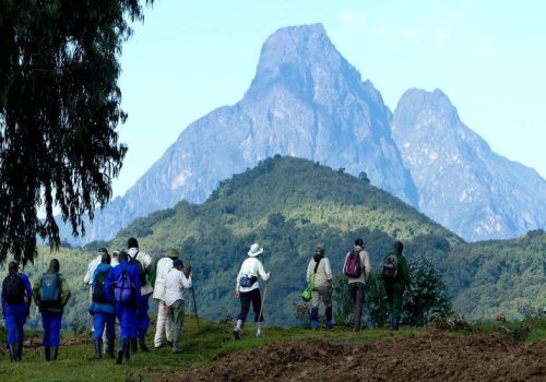 3-Day Gorilla Trekking from Kigali – Complete Safari Itinerary