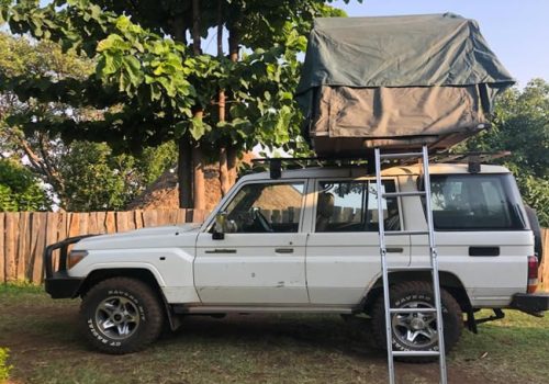 How Much Does Gorilla Trekking from Kigali Cost?