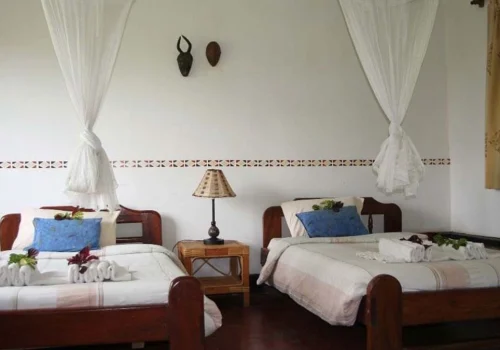 Volcanoes National Park Accommodation Guide – Luxury to Budget Lodges