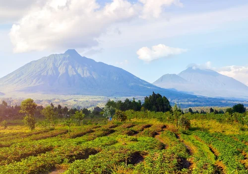 Volcanoes National Park Travel Guide – Activities & Tips