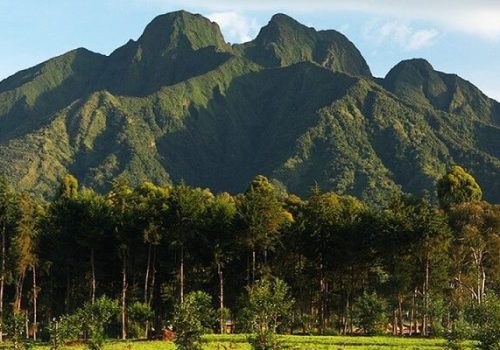 Private Transfer from Kigali to Volcanoes National Park