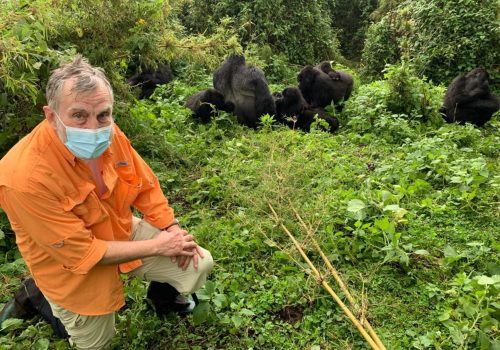 Gorilla Trekking Safaris in Rwanda and Uganda: A Global Adventure for Travelers from Top Countries