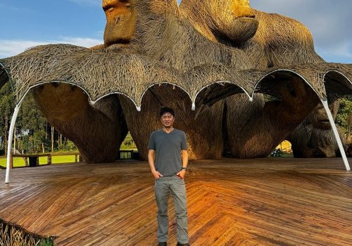 Photography Tips for Gorilla Trekking in Rwanda and Uganda – What Camera to Bring