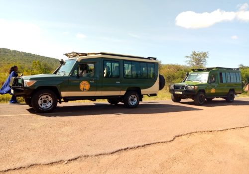 Visit Rwanda: The Ultimate Guide to Discovering the Land of a Thousand Hills