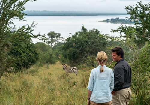 Rwanda Safaris in 2025–2026 – What Travelers Need to Know