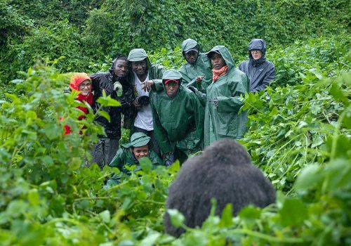Rwanda and Uganda Gorilla Safari Logistics Made Simple