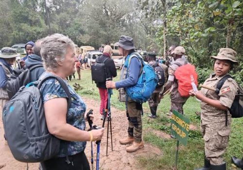 Gorilla Safari Packing Guide for Rwanda and Uganda