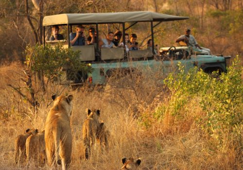 Rwanda Safari with Serengeti or Maasai Mara – Cross-Border Tours