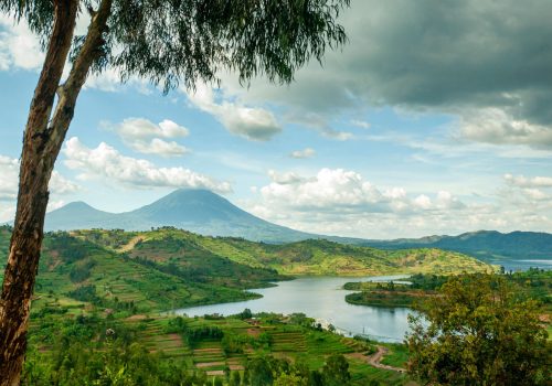 Planning a Gorilla Safari in Rwanda and Uganda Step-by-Step