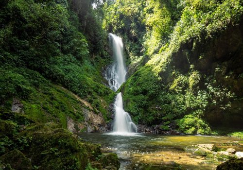 Cost of Nyungwe Safaris – Permits, Lodges & Travel Budget