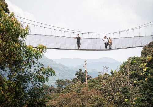 Nyungwe Safari for Families – Is It Suitable for Kids?