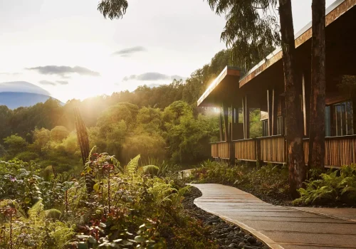 Gorilla Trekking in Rwanda and Uganda from Australia