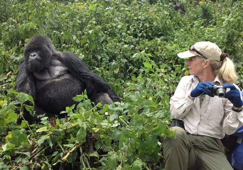 3 Days Gorilla Trekking Itinerary in Rwanda