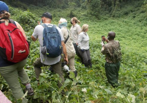 Responsible Tourism & Conservation in Rwanda