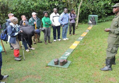 Rwanda Gorilla Trekking Permits: Cost, Booking & 2025 Updates