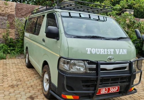 Private Luxury Gorilla Safari Rwanda and Uganda